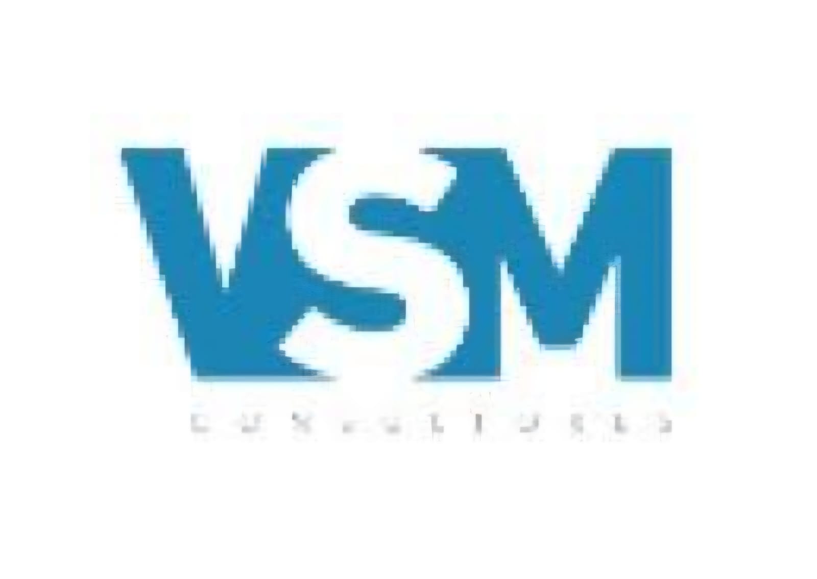 VSM Consultores